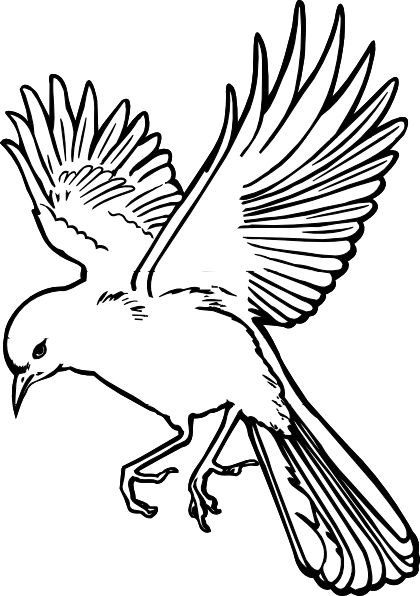 dove drawings | dove clip art - Bird Outline Clip Art