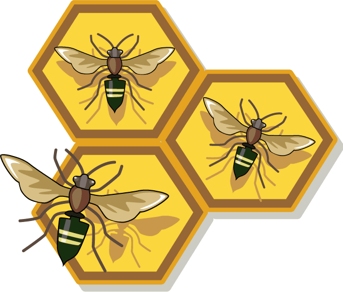 Vector illustration of honeyc