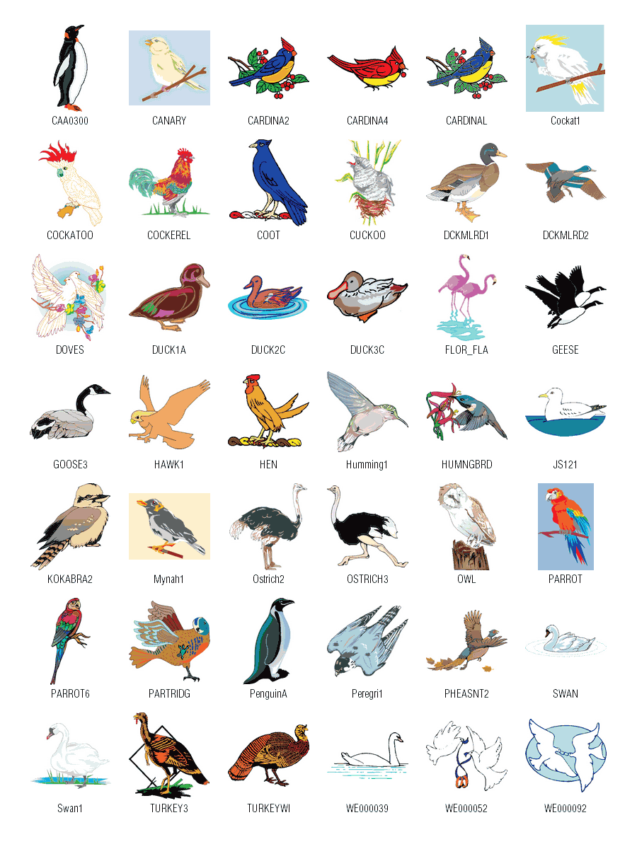 Download Birds Free Vector Clipart From Rapidshare