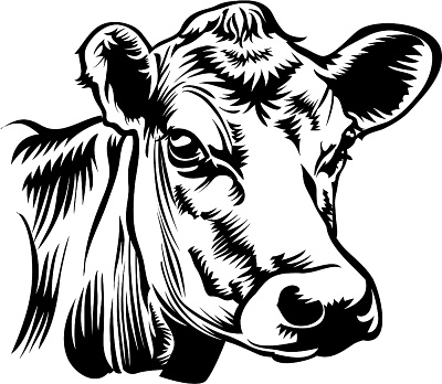 Cow Face Outline Clipart Best