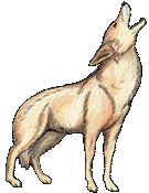 Download Coyote Free Clipart