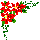 Download Free Poinsettia Clipart