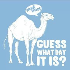 Download Hump Day Camel Clipart