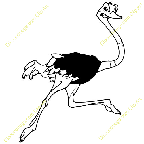 Royalty-Free (RF) Ostrich Cli