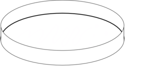 Petri Dish Clipart