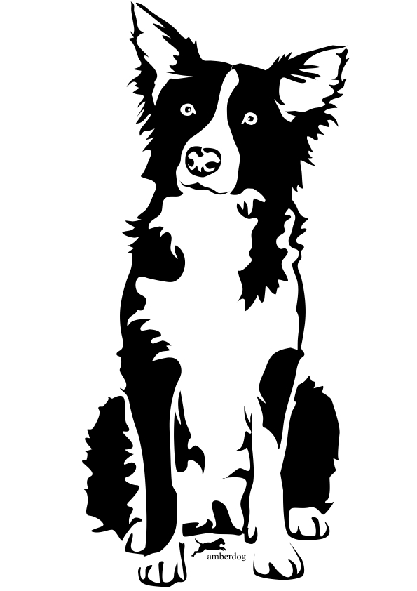 Download Red Border Collie Clipart
