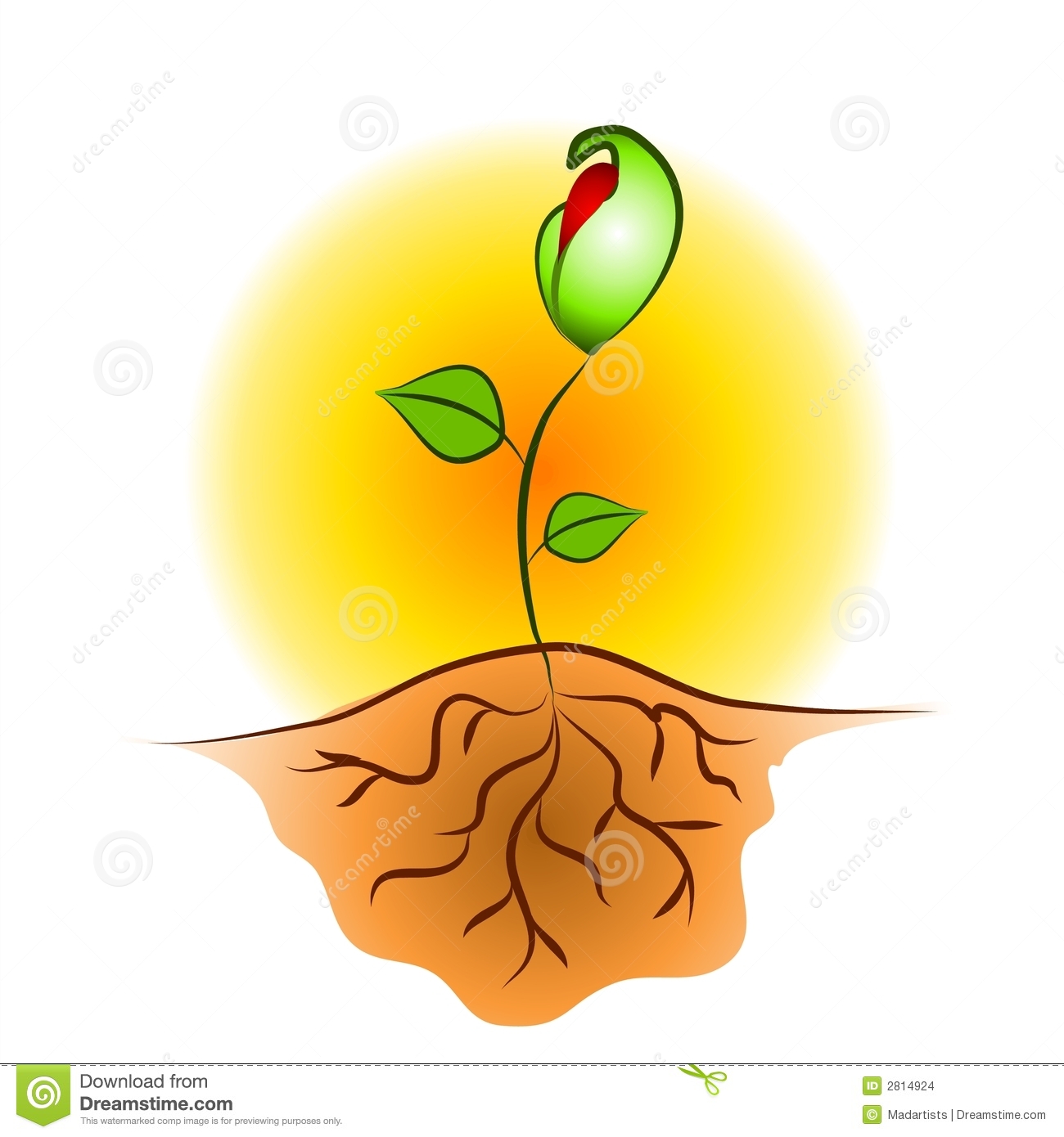 Download Seed Roots Clipart - Roots Clip Art