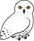 Download Snowy Owl Cartoons Clipart