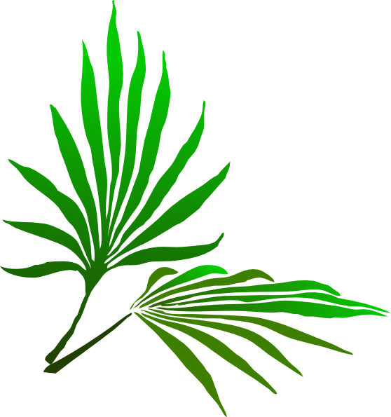 Download this image as: Download this image as: Palm Leaf Clipart