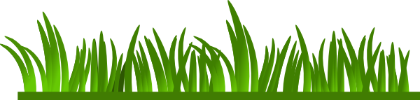 Download this image as: - Green Grass Clipart