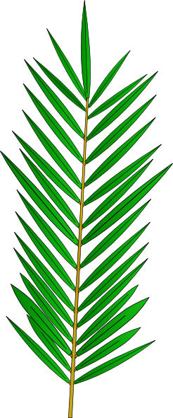 Download this image as: - Palm Branch Clip Art