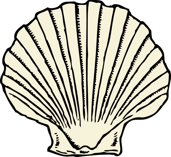 Download this image as: - Scallop Shell Clip Art