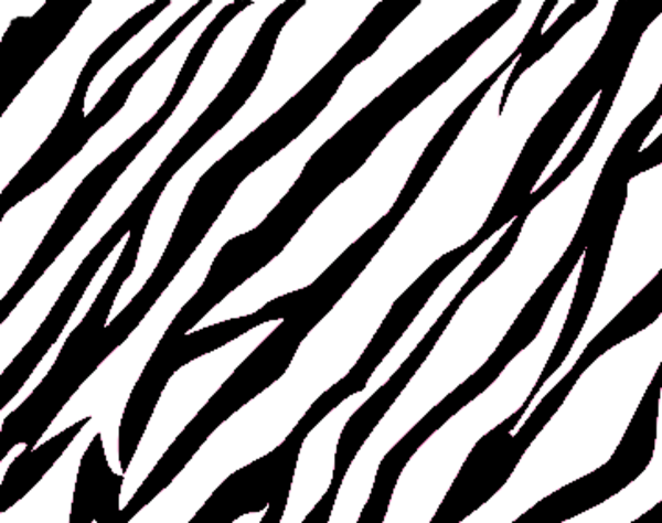 Zebra print -hand drawn black