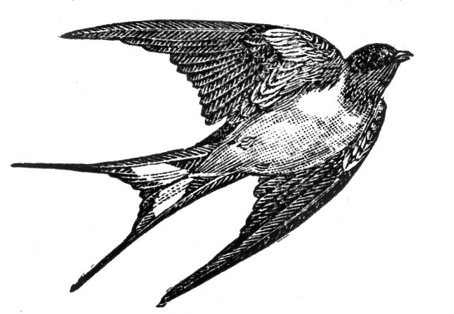 Download Vintage Sparrow Clipart