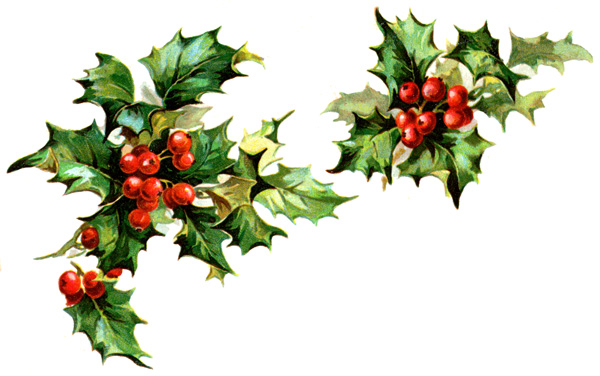 Download Winter Holly Clipart - Free Holly Clipart