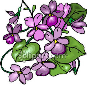 Download Wood Violets Clipart