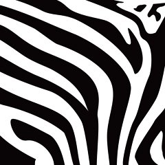 Printable Zebra Print Stencil