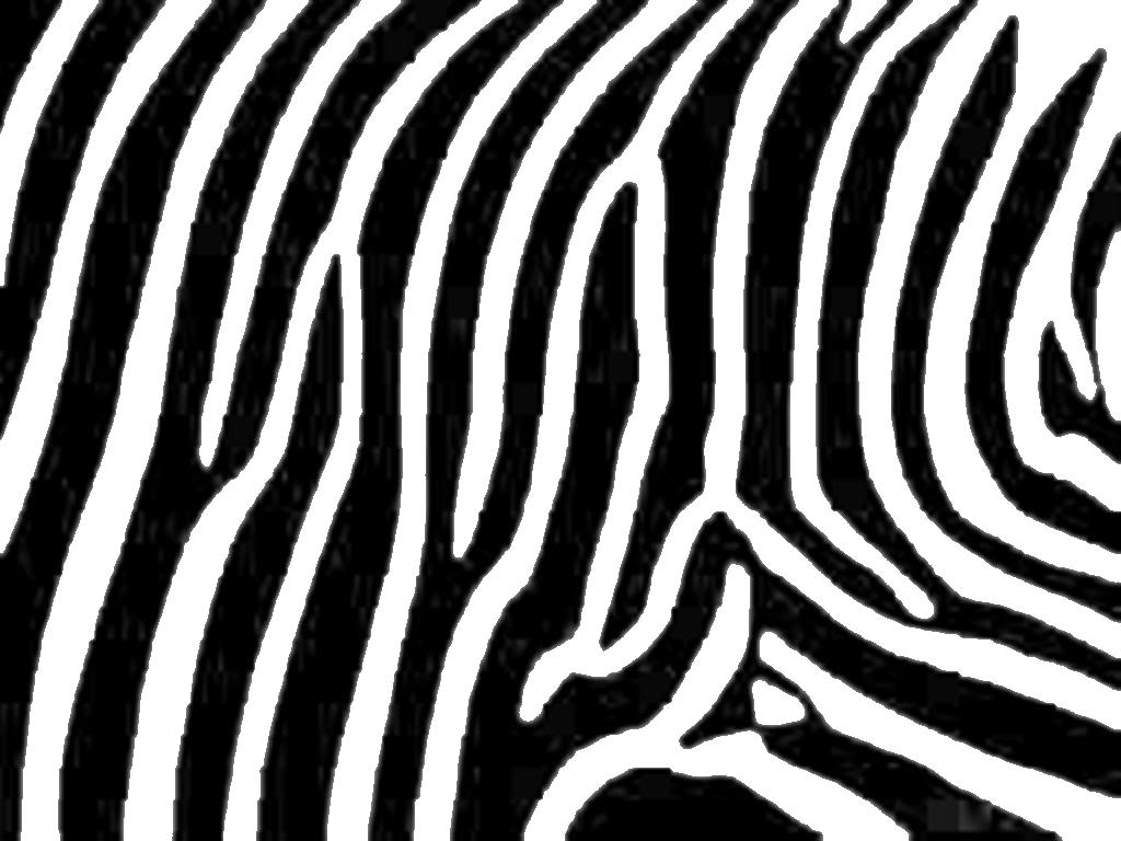 Zebra Print Vector Art | 123F