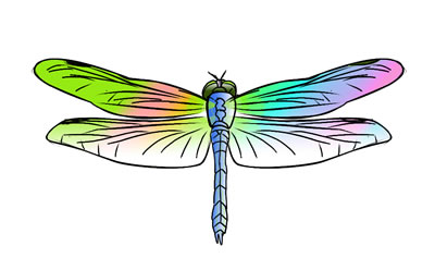 Flying Dragonfly
