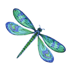 Dragonfly tattoo design . - Free Dragonfly Clipart