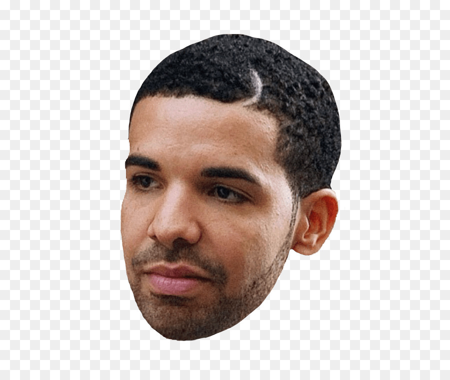 Drake Face Clip art - drake