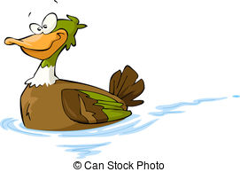 Beautiful duck swimming in po