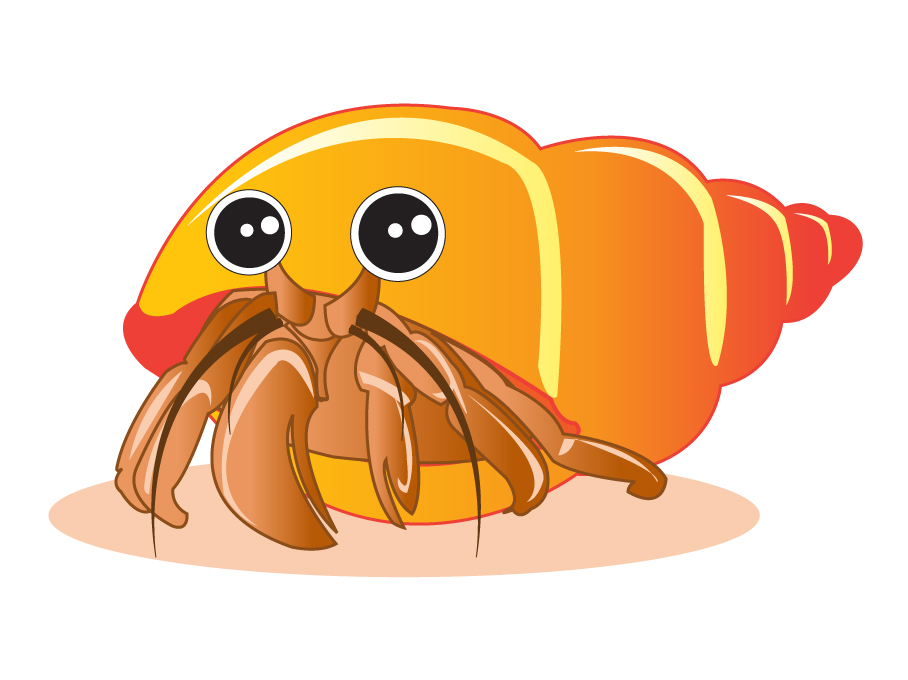 Draw a Hermit Crab