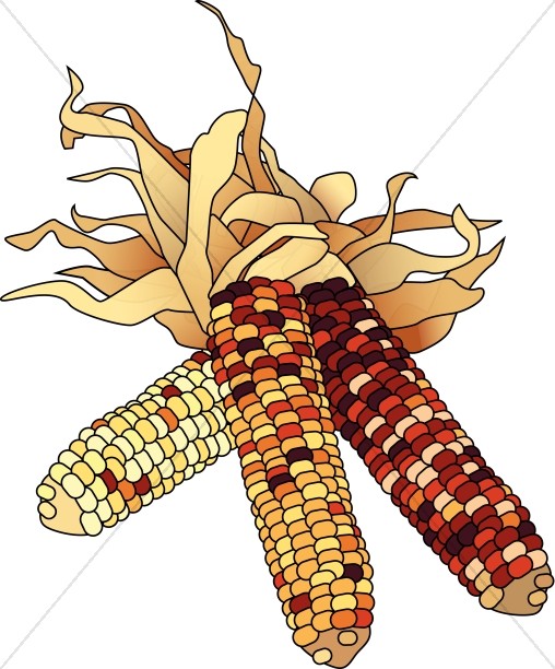 Dried Corn Colorful Clipart - Harvest Clip Art