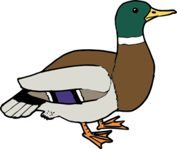 duck clipart - Drake Clipart