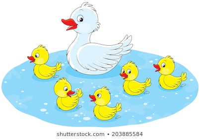 Duck and ducklings swimming - Duck Clipart
