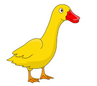 duck orange beak. Size: 39 Kb - Clipart Duck
