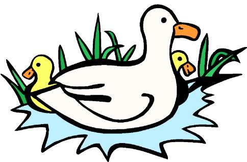 Ducks clip art - Clip Art Ducks