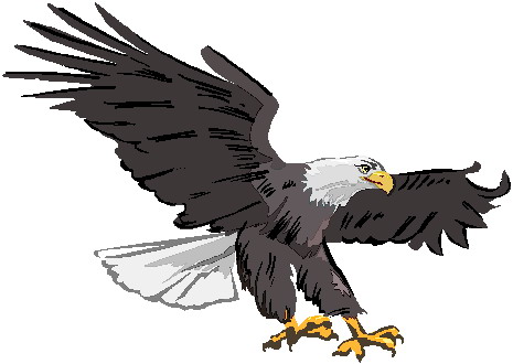 Eagle clip art 3 - Eagles Clipart