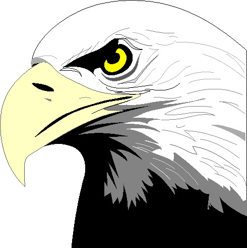 Eagle clip art - Clipart Eagle