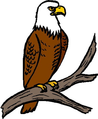 Eagle clip art with raised wi