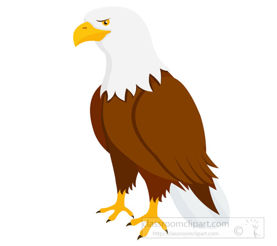 bald-eagle-clipart-725.jpg - Eagle Clipart