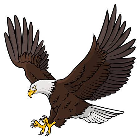 Colored graphic of american bald eagle on white backdrop illustration.  Illustration