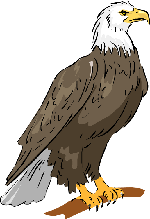 Printable eagle clipart paint