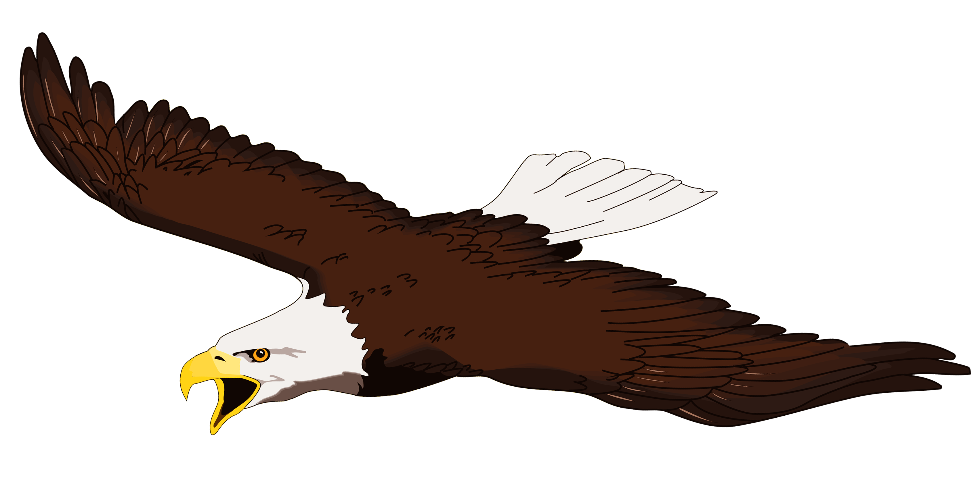 Eagle clipart free clipart