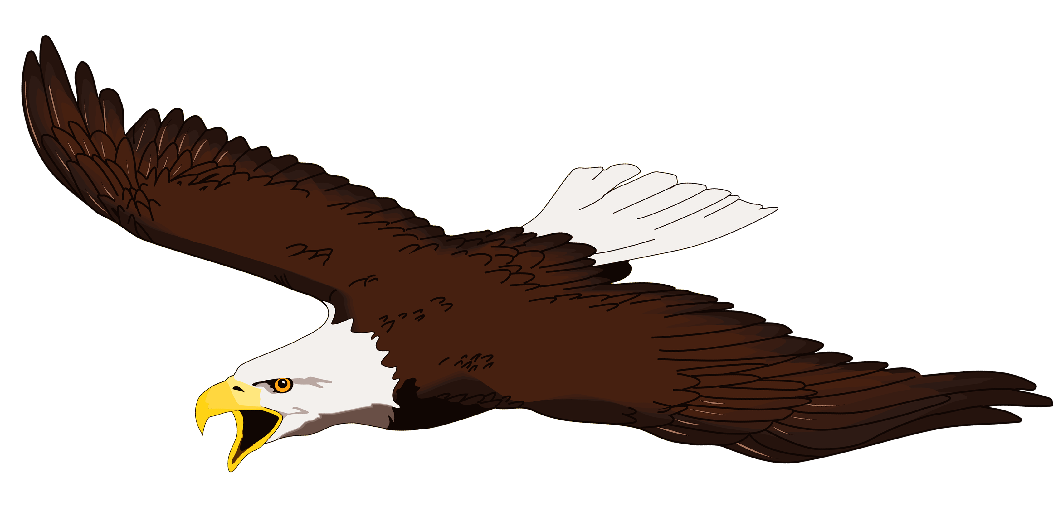free eagle clip art images | 