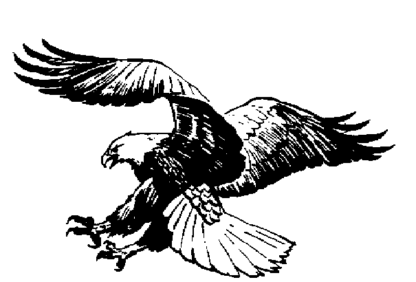 Eagle Flying Clipart Black And White | Clipart library - Free