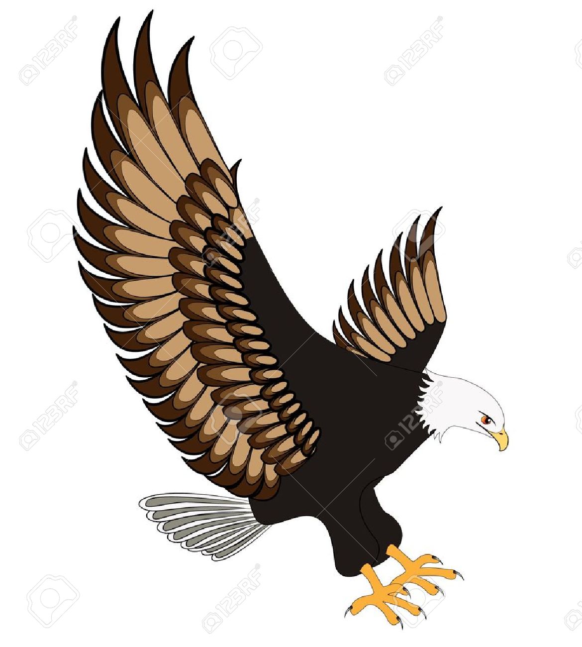 eagle flying: illustration fl - Soaring Eagle Clip Art