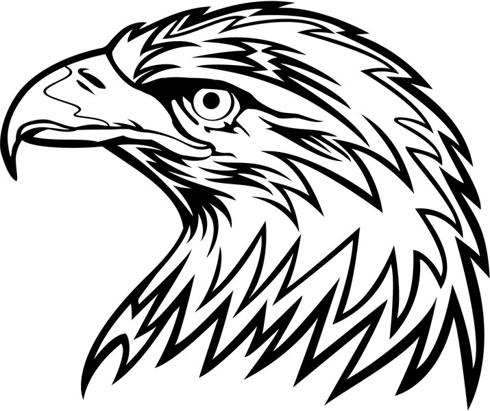 Eagle Head Vector 6