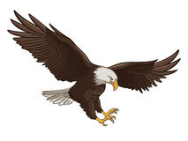 Eagle Stock Photography - Clipart Eagle