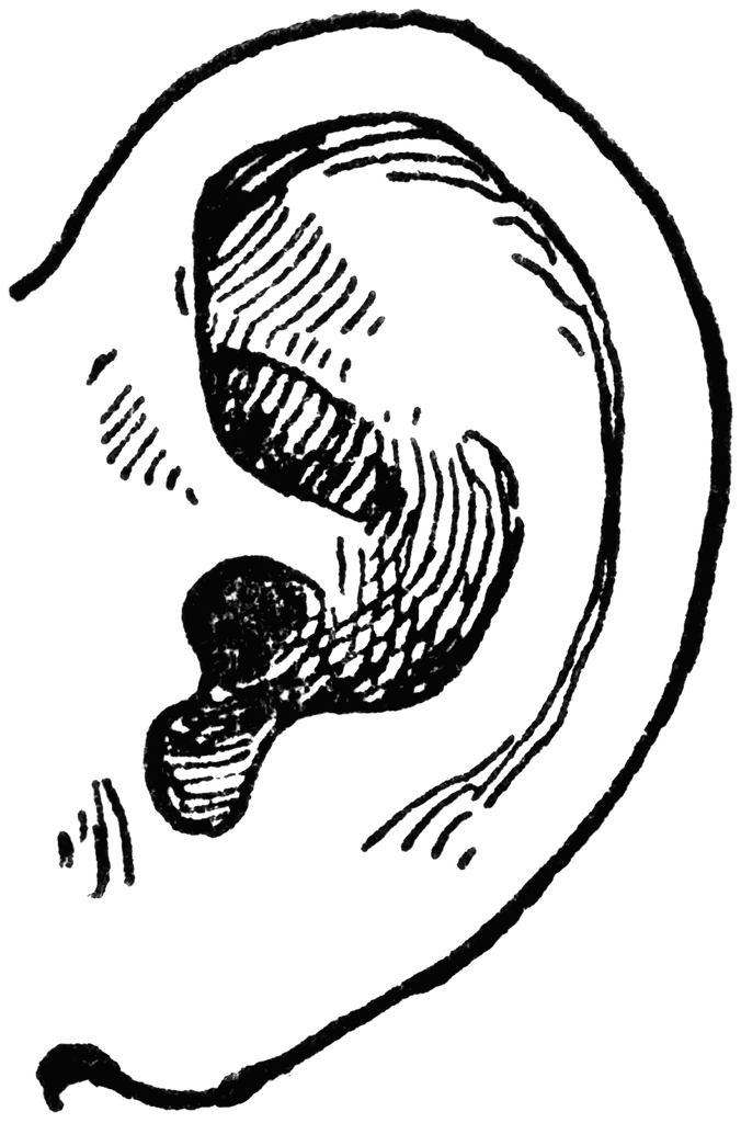 ear clipart black and white - Ear Clip Art