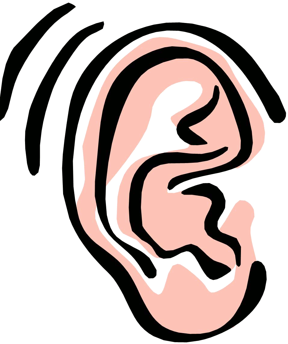 Ear Clip Art For Kids Clipart
