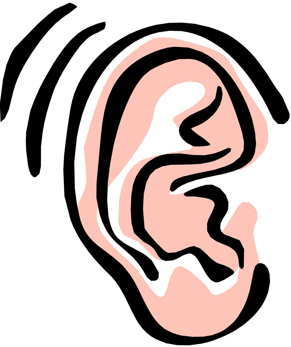 ear clipart - Ears Clip Art
