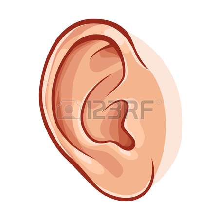 Ear Coloring Page with Ear Li