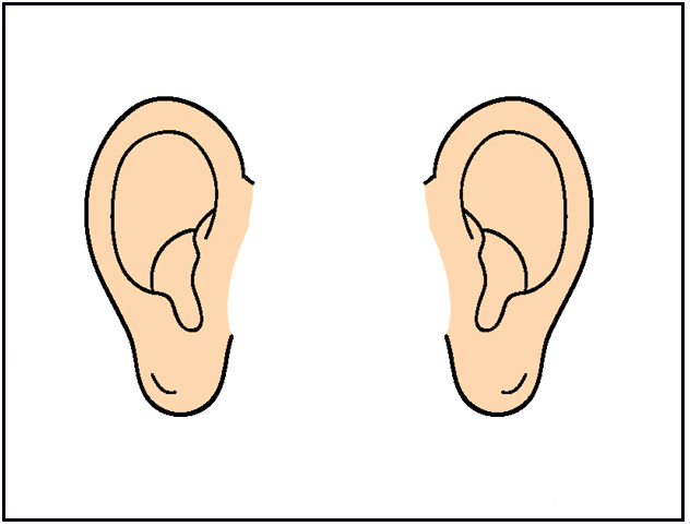 Ear Anatomy Clip Art For Cust