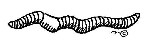 Earthworm Clip Art Gallery